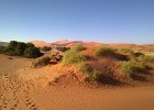 2014-11-Namibia